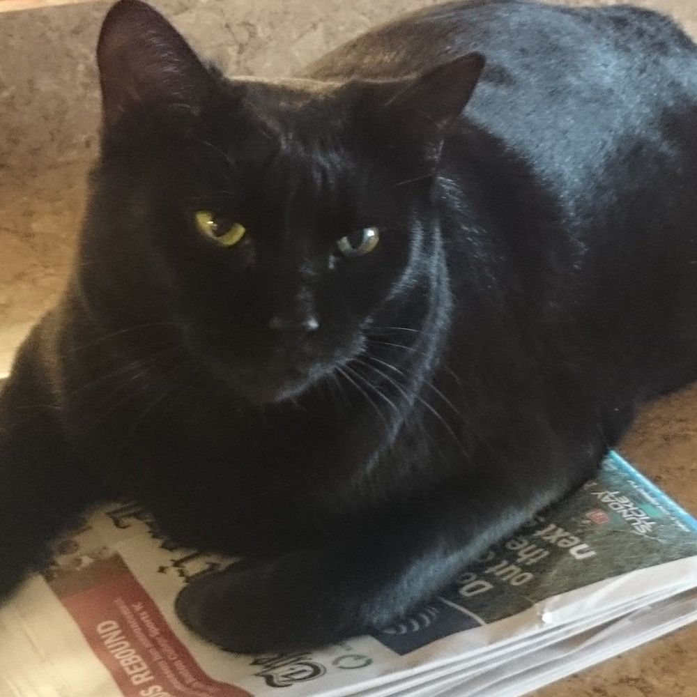 Meet your Posher, Melissa